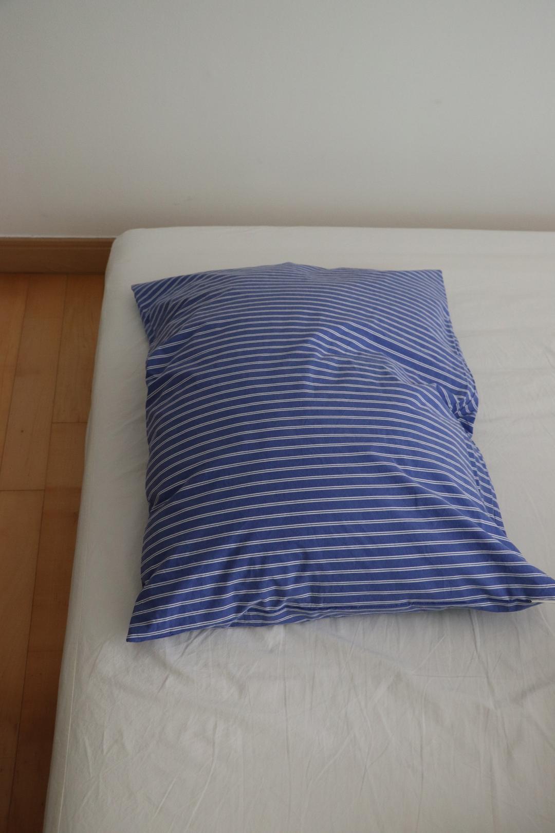 Simple stripe blue pillow cover