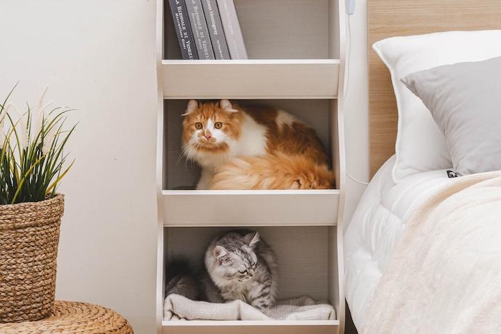 3단 고양이 캣타워 숨숨집 수납장 고양이하우스 고양이아파트 책장 오프화이트