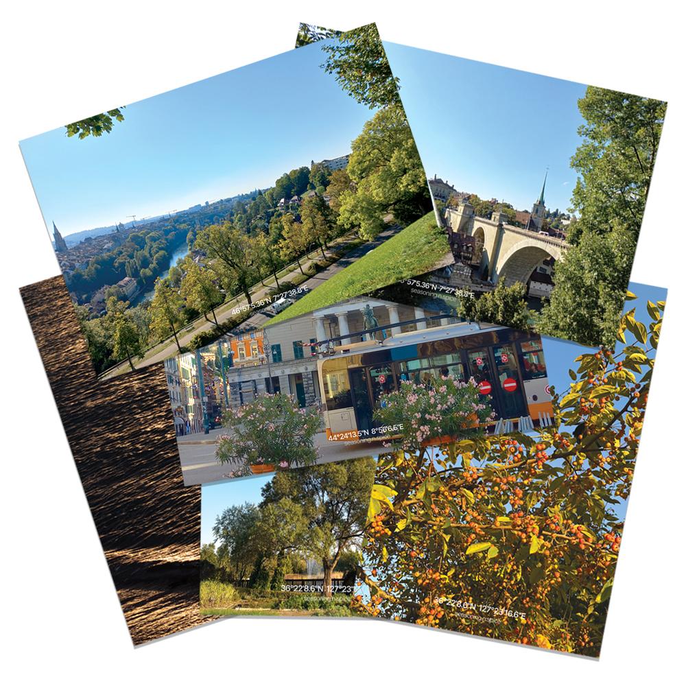 [시즈닝앤스파이스] 폴인폴 가을 감성 엽서 (6종)