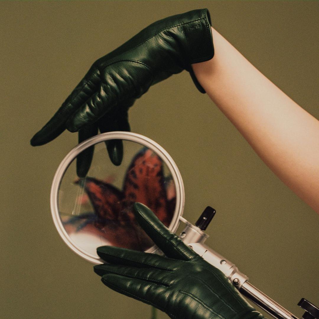 Journee Gloves (Chemist)