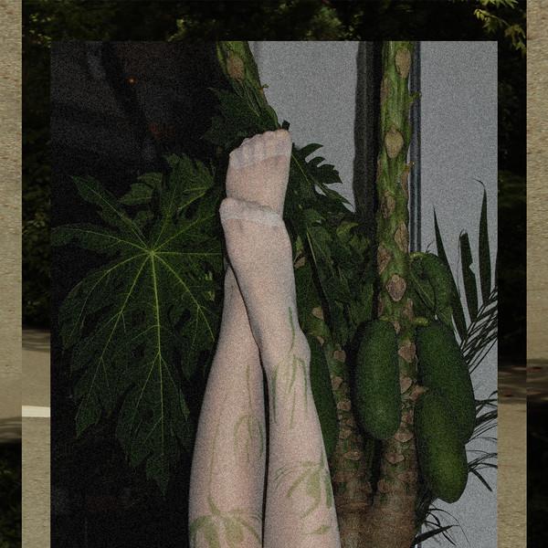 Grass