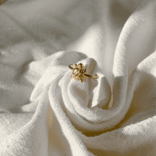 부와 장수를 부르는 은거북이 반지