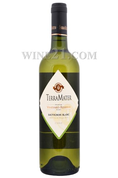 [화이트] 테라마터, 빈야드 레제르바 소비뇽 블랑