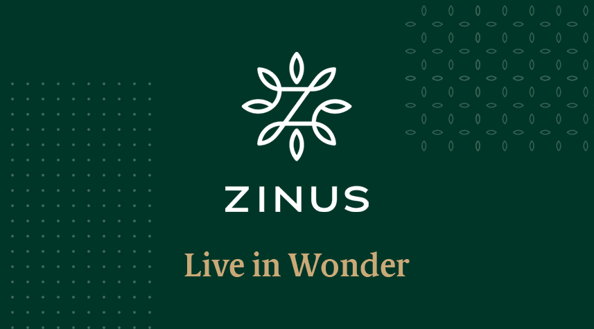 Zinus - Live in Wonder