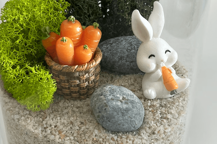 테라리움 당근토끼 SET _ 힐링 인테리어 식물