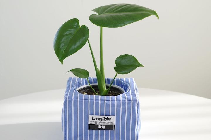 몬스테라 (Monstera ) 렉탱글 팟 화분커버 (식물 변경 가능)