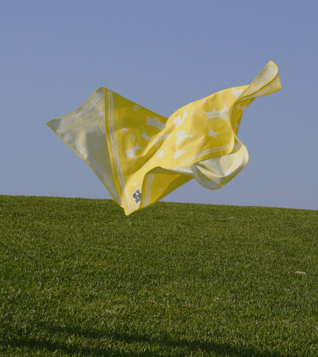 Bloom Yellow 60 - B Grade