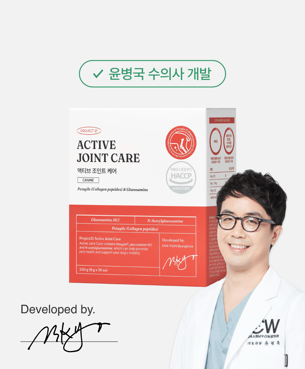 액티브 조인트 케어