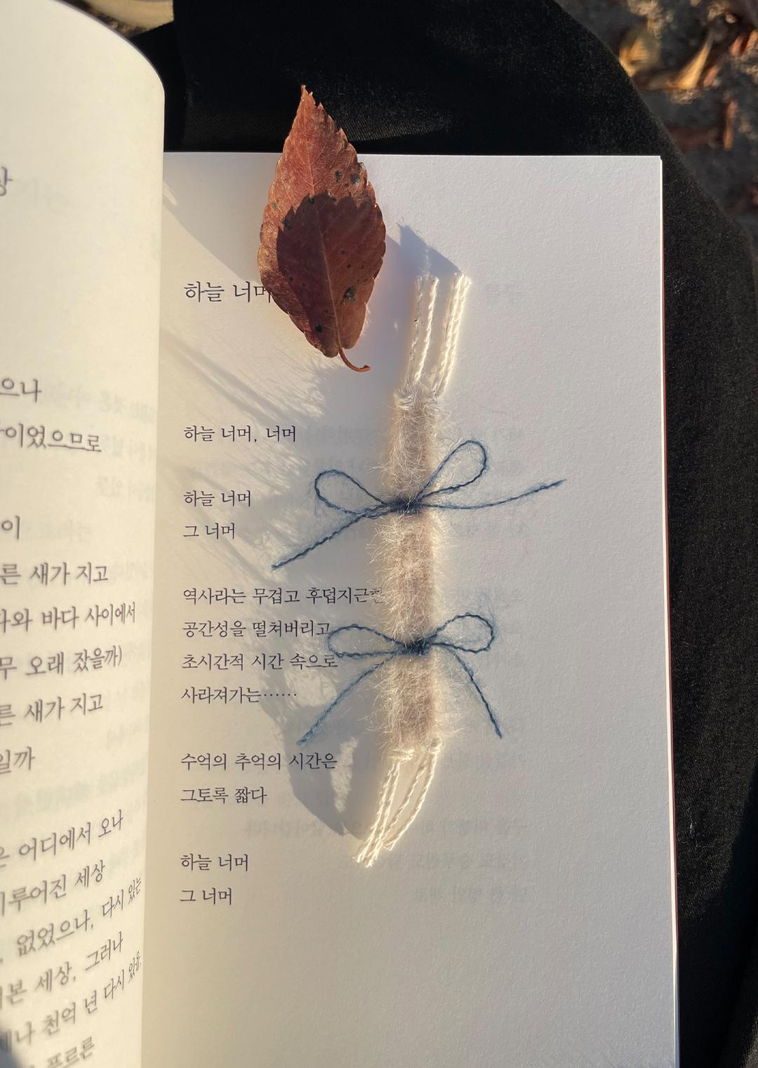 Nang) Ribbon Bookmark