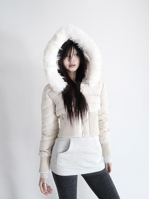 bichon padding, 3color