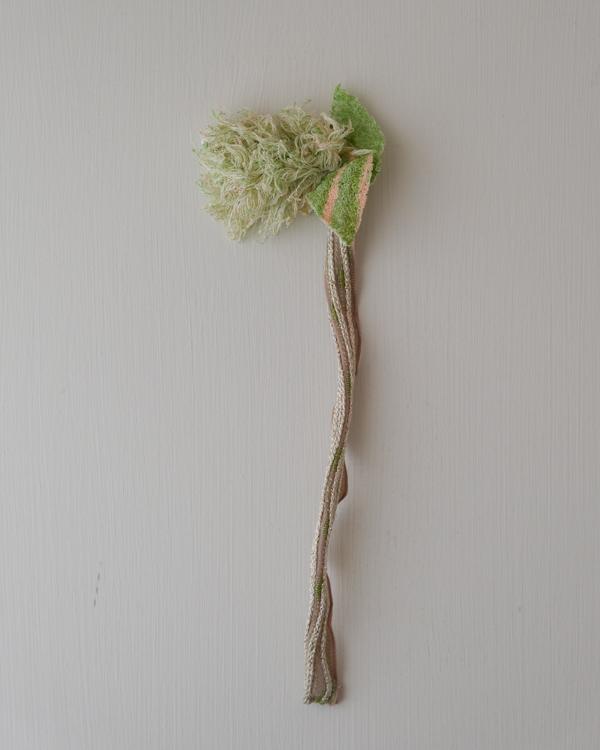 plant - flower 001 (bud)