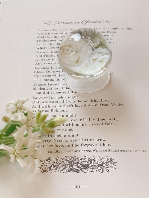 🎐화이트로즈 반구 장미 꽃 스마트톡 🎐🧚🏻