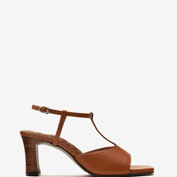 LONICERA 464 : BROWN