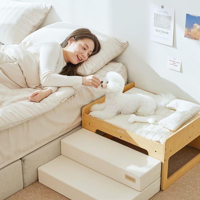 [파미야] 패밀리 침대 / 강아지 고양이 방석 쿠션 매트리스 애견침대 애견소파하우스 고양이 숨숨집