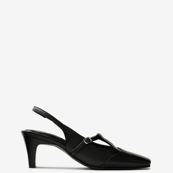NENSI 453 : BLACK