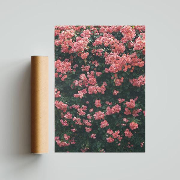 Vintage Rose Poster(A1, A2)