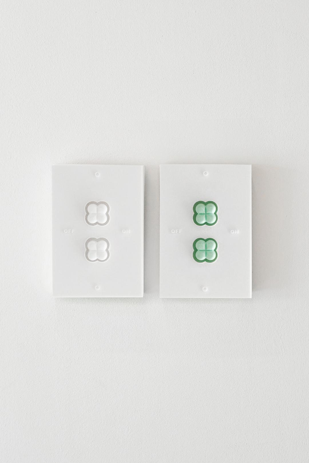 2 LUCKY SWITCH COVER