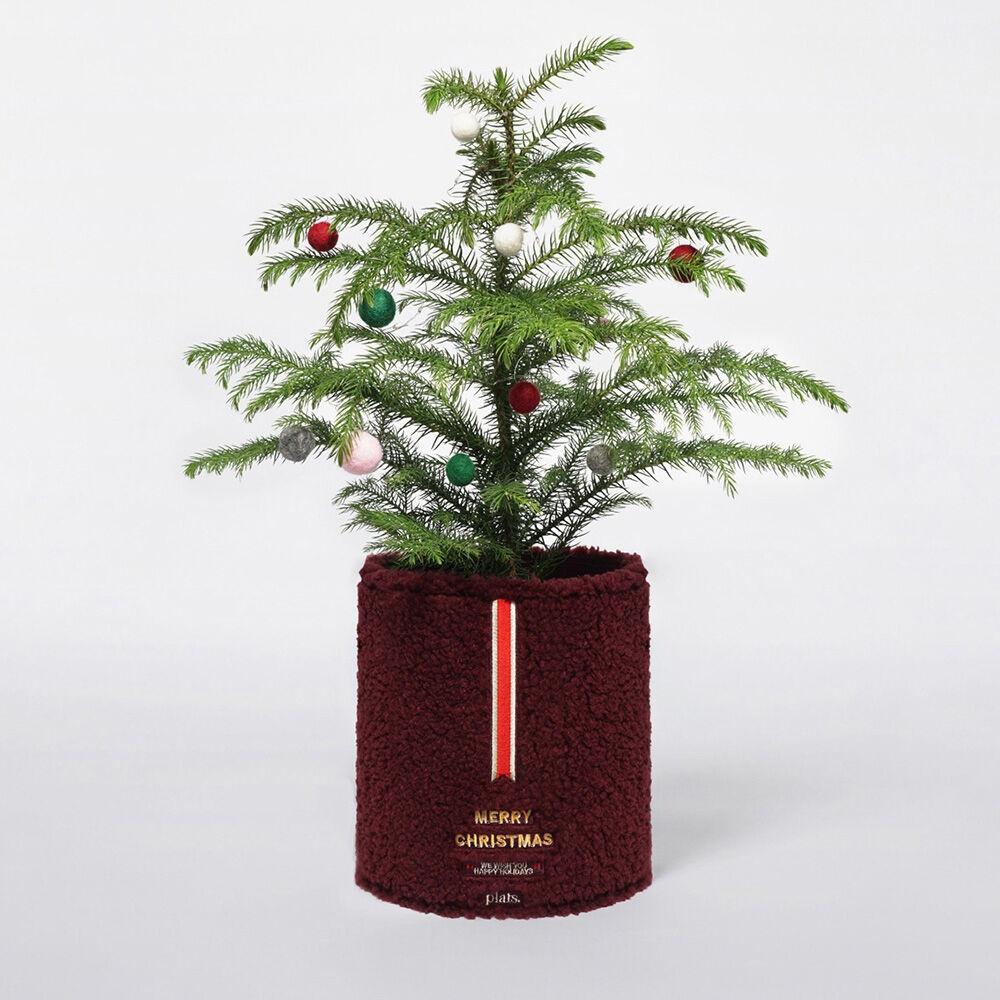 크리스마스 에디션 팟커버 테디_S SET