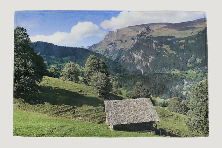 부드러운 스위스 빌리지 극세사 식탁 거실 러그 카페트