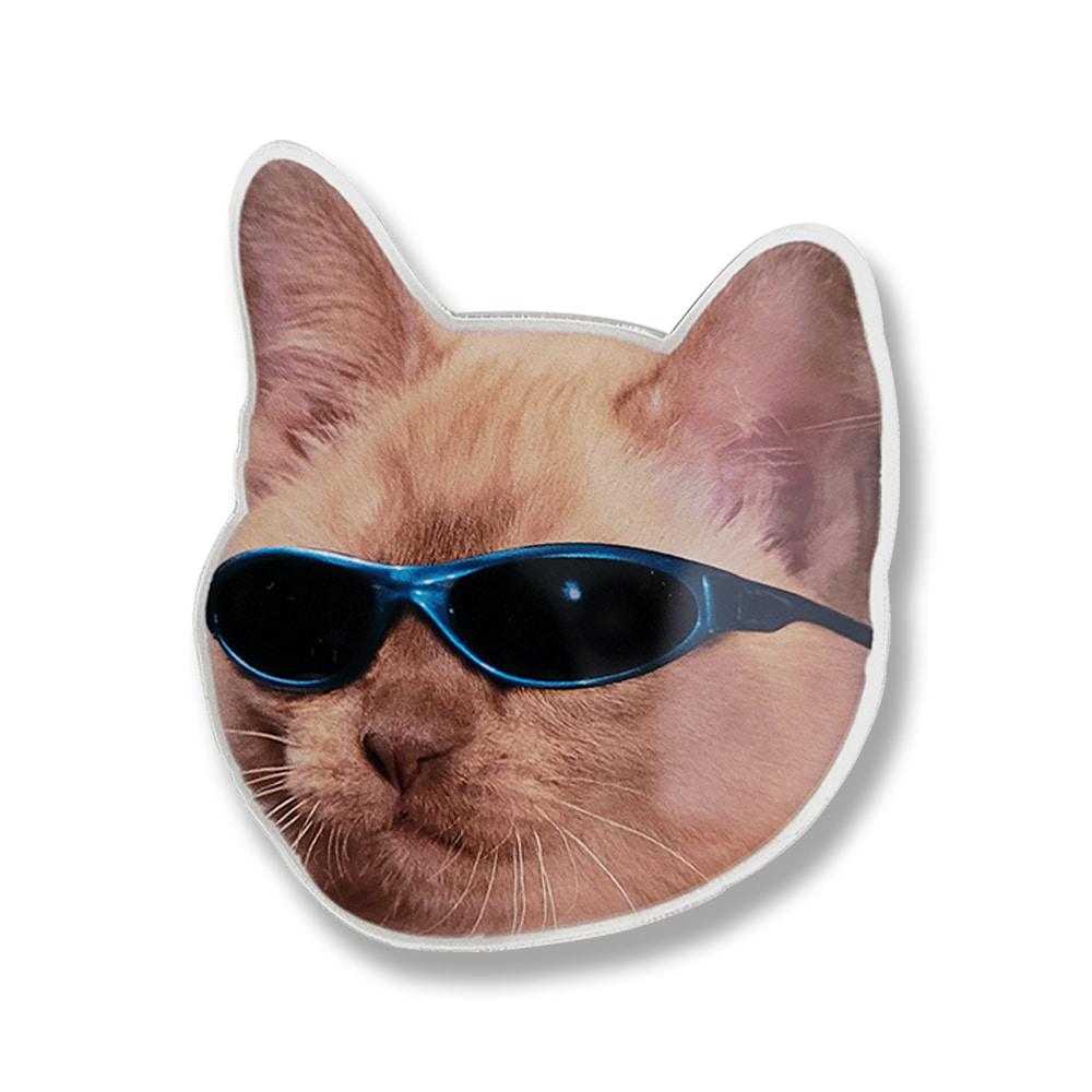 90 years cat Acrylic Tok