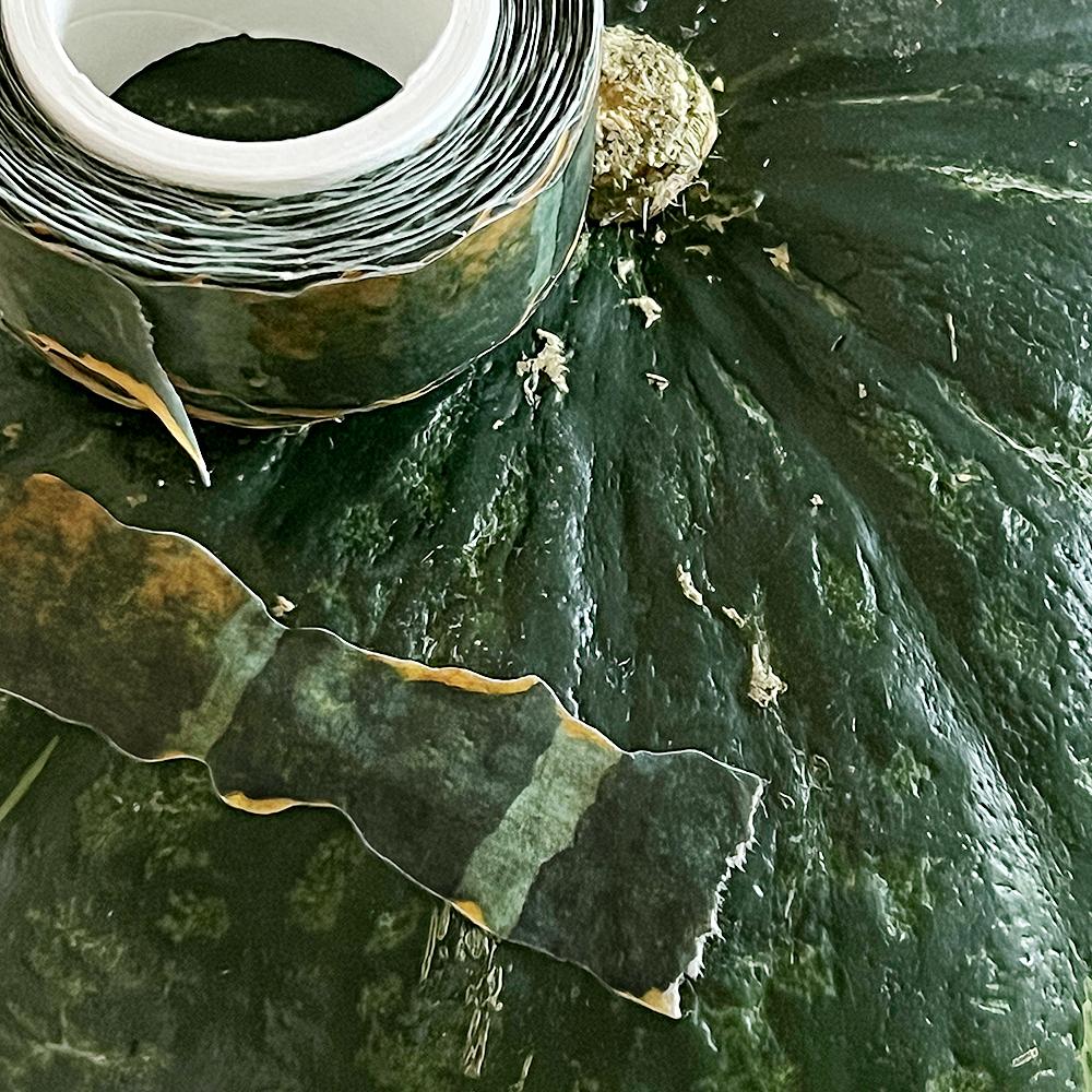 [자그네] 단호박껍질 마스킹 테이프 autumn squash masking tape_종이포장