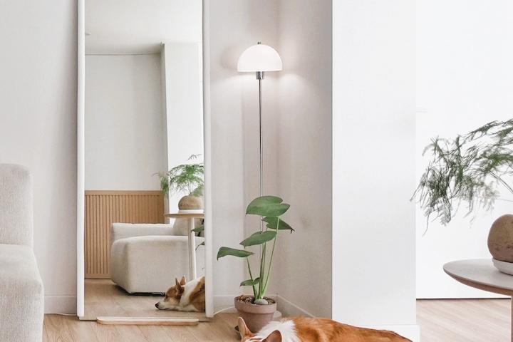 [당일출고] 노프레임 비정형 전신거울 A-7 (받침대 포함) 2Size