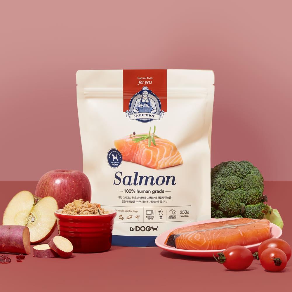 닥터독 고메 연어 화식 250g 