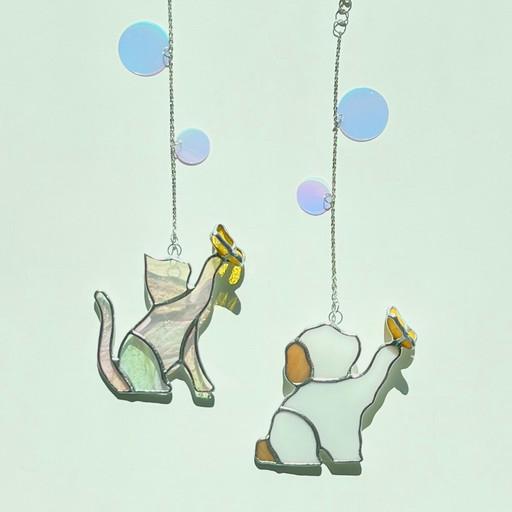 나비냥 나비멍 썬캐쳐 🐶🐈💛