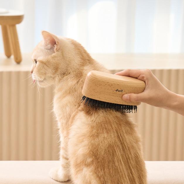 두잇 바나나 브러시