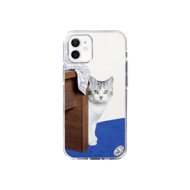Peekaboo cat case (jelly hard)
