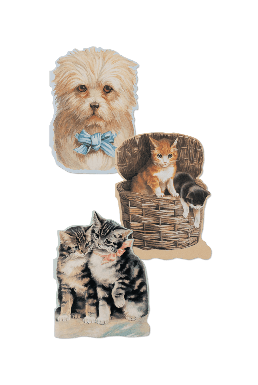 미니 카드 Everyday Mini Card - Cats & Dog