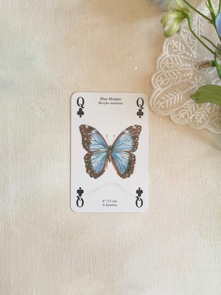 vintage butterfly card