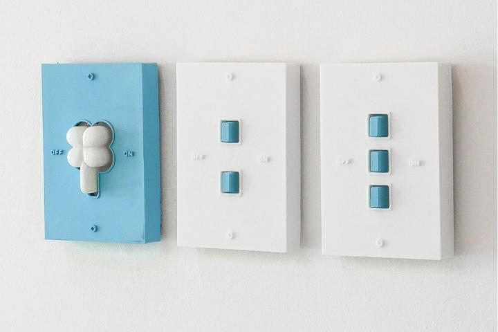 LUCKY SWITCH COVER (BLUE)ㅣ스위치 커버