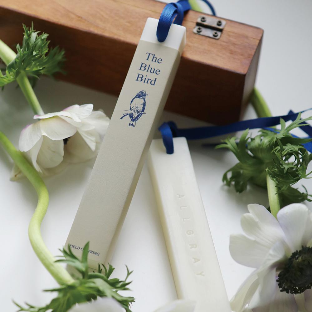 왁스타블렛 allgray wax tablet _ blue bird