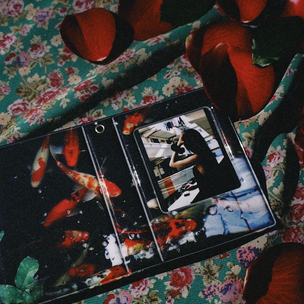 연못 (蓮못) collect book