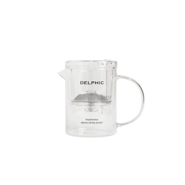 Delphic Button Teapot 델픽 버튼 티 포트