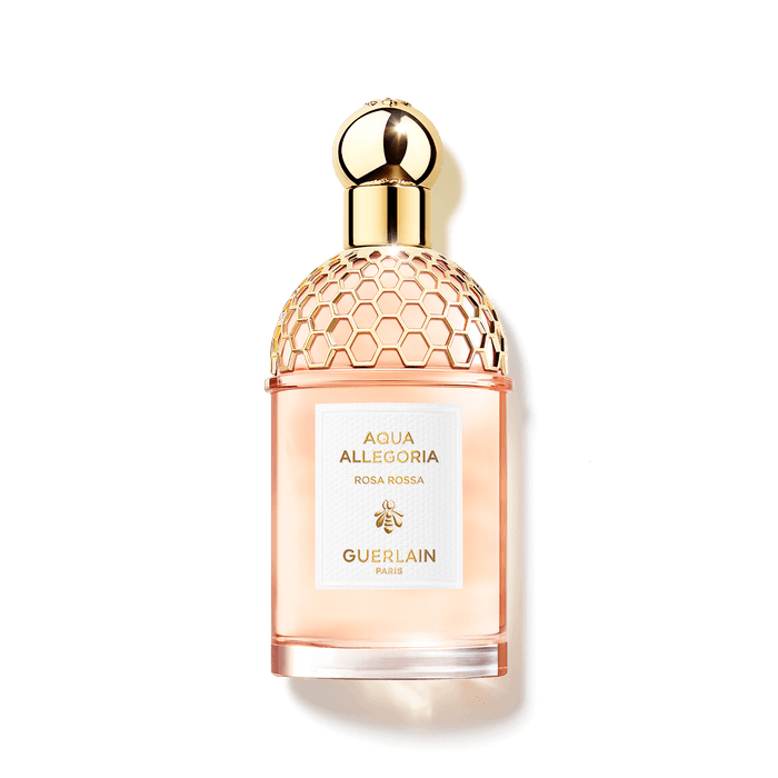 아쿠아 알레고리아