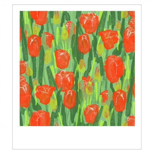tulips garden 엽서