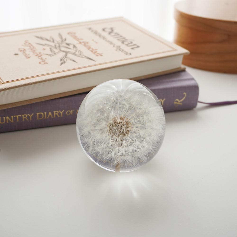 민들레문진 단델리온 플라워 문진 오브제 페이퍼웨이트 생화 인스타 촬영소품 집들이 선물