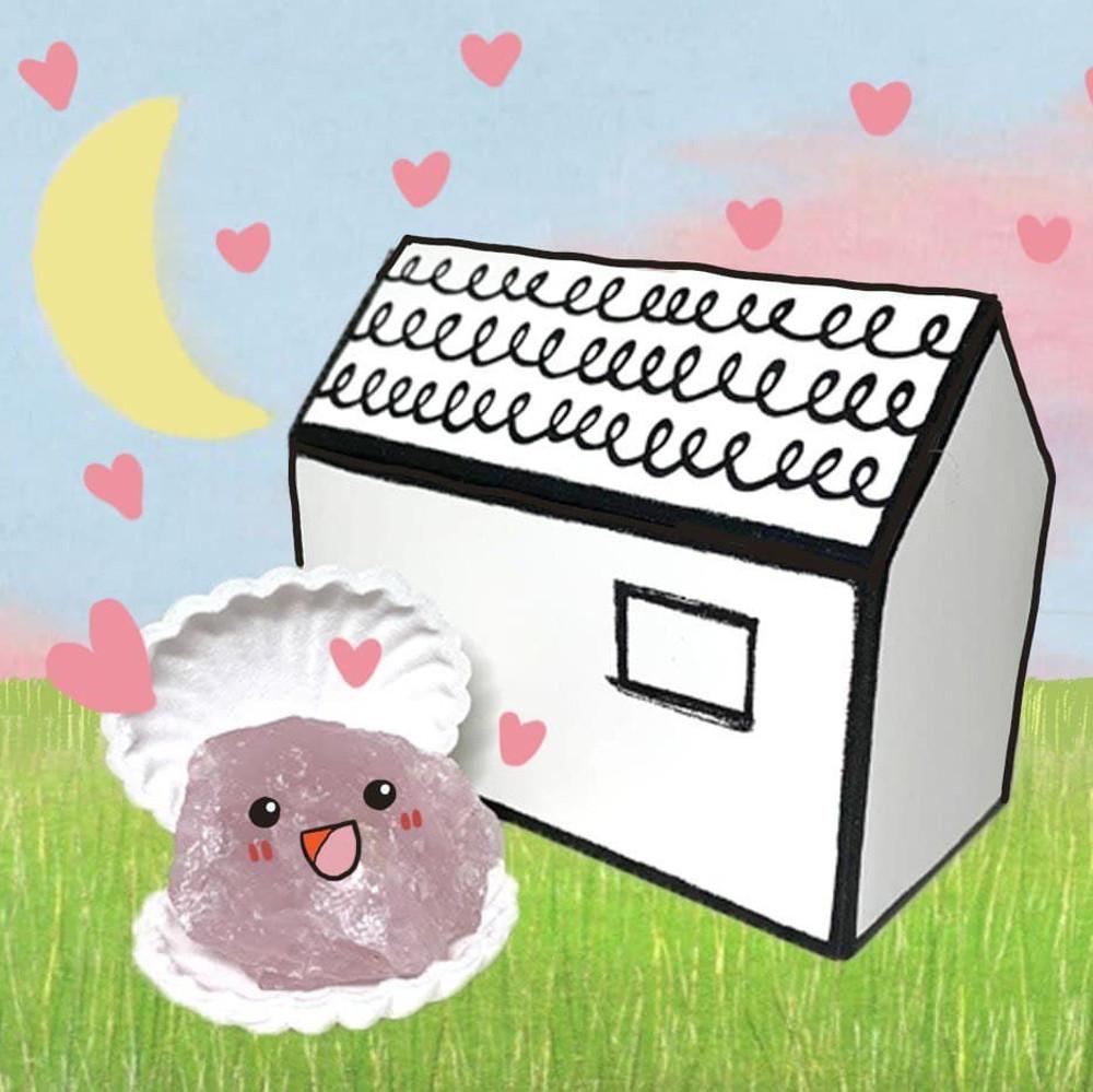 애완돌 Petrock  러브스톤 로즈쿼츠 Love stone 반려석 [미우새] 반려돌 돌키우기