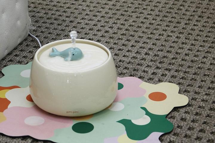 아쿠왕 세라믹 고양이 정수기