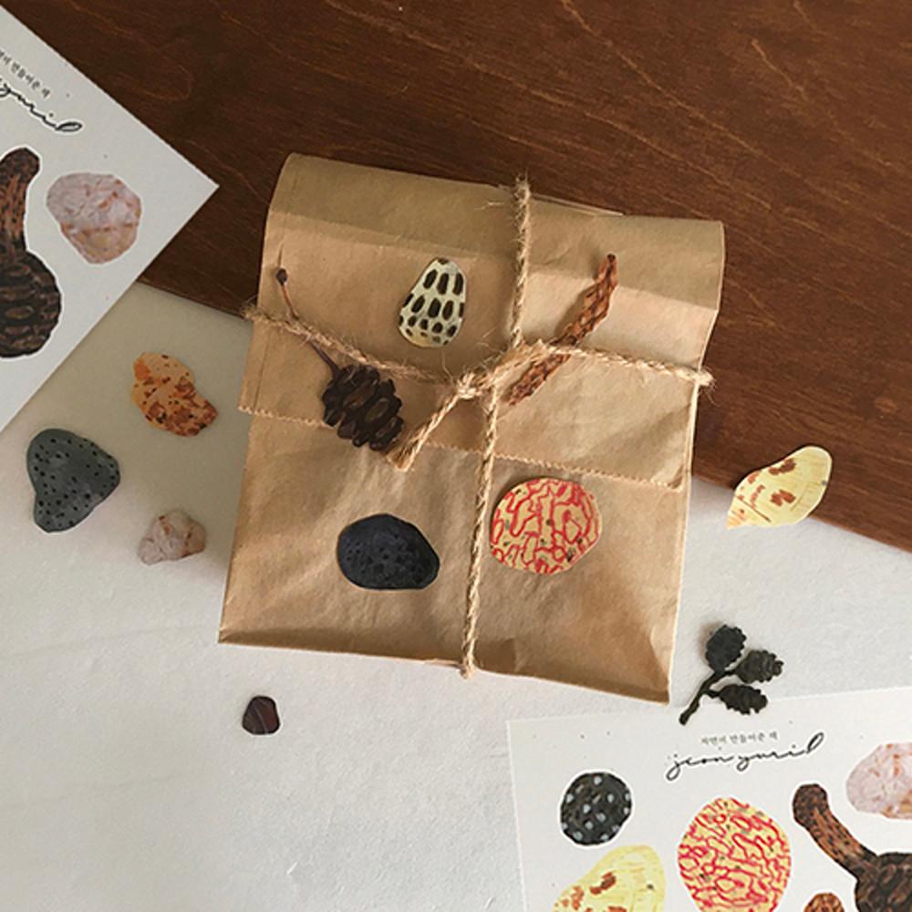 자연물 스티커 / 돌멩이 / 조개 / 식물 / 솔방울 일러스트