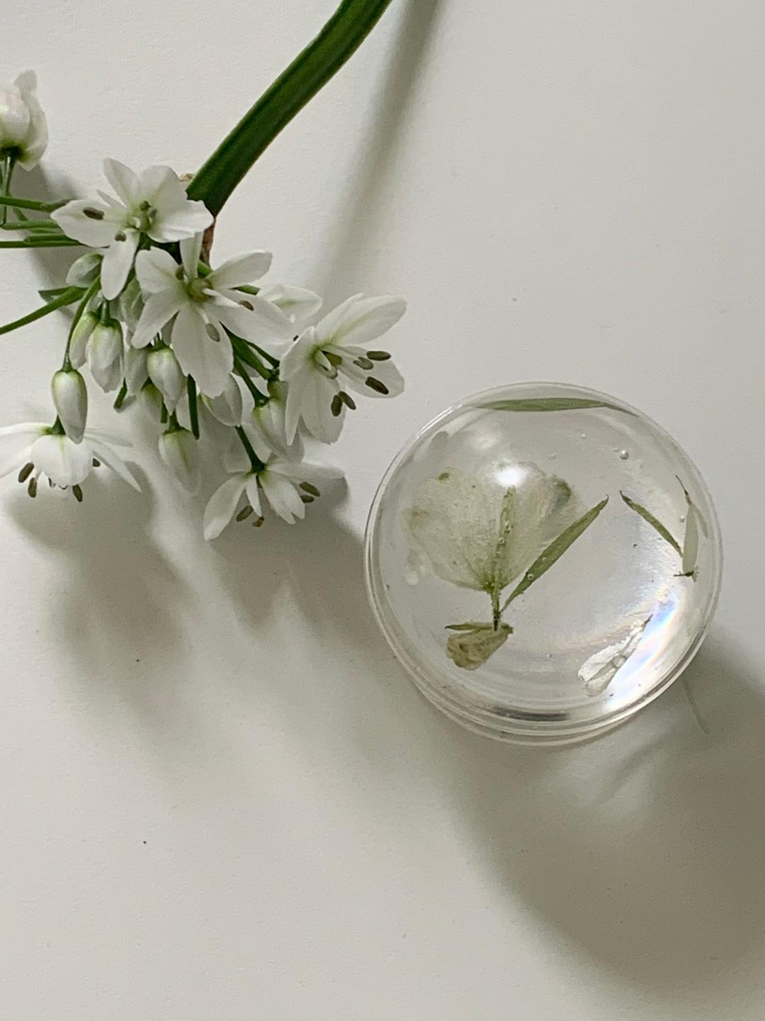 Water drop griptok - Delphinium(green)