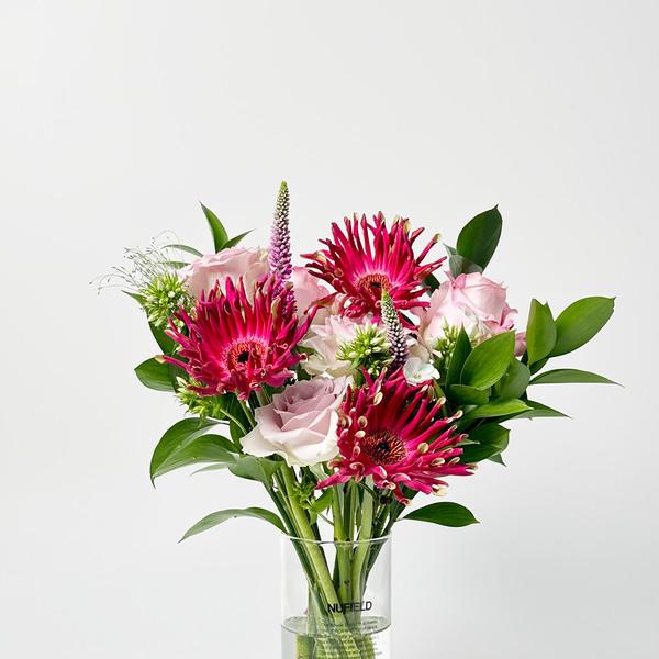 Safe Relax Collection