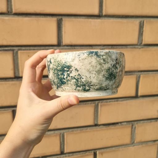 [Flowerpot] 초록 여름 화분