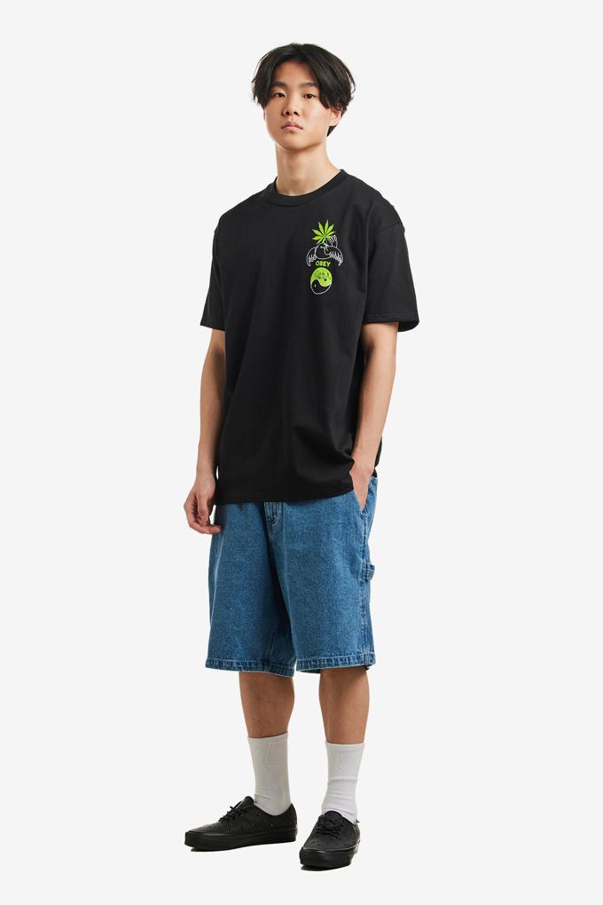 OBEY PLEDGE ALLEGIANCE