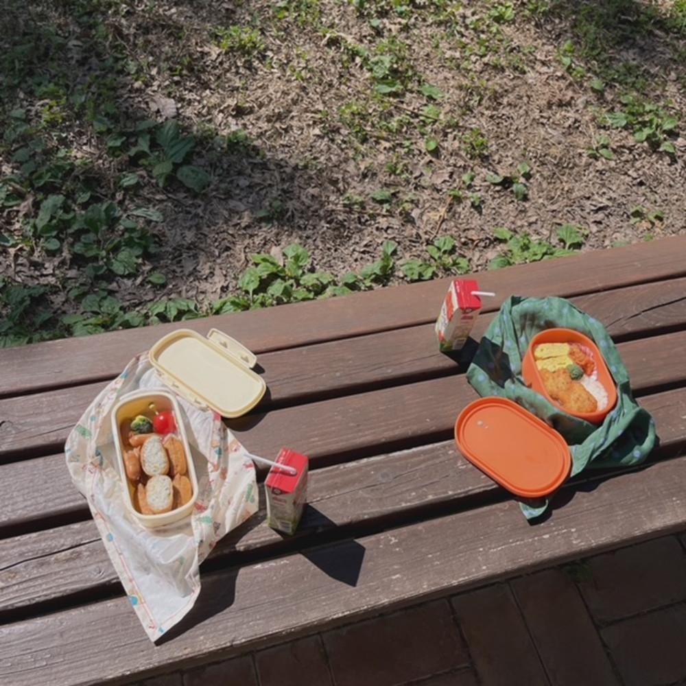 [bakha] lunch bag (ver1,2) | 도시락 가방