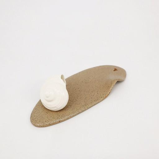 아소토 바다한조각 샌디트레이/주름무늬 바다달팽이