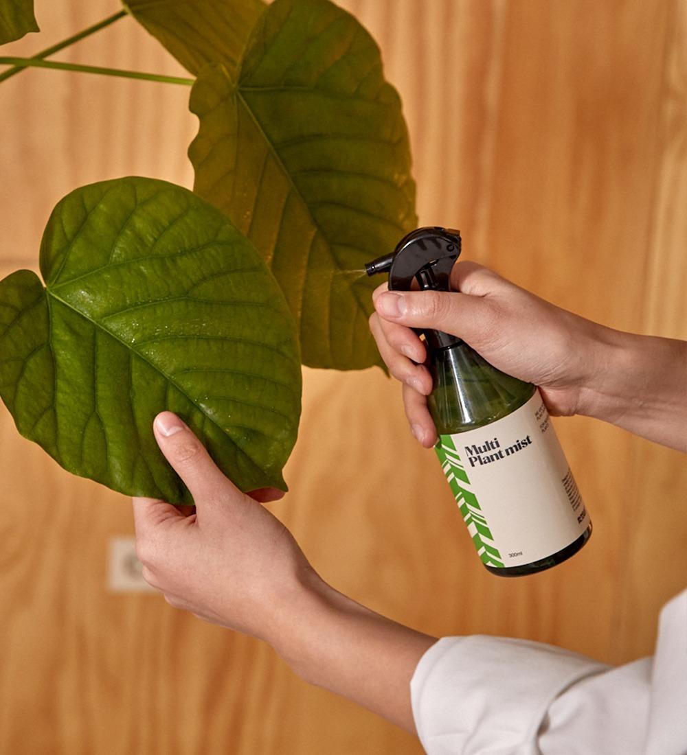 Multi Plant Mist