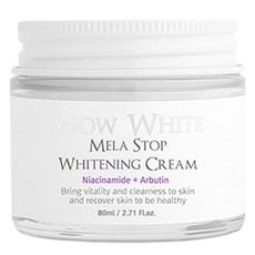 뷰티레시피 스노우화이트 멜라 스탑 화이트닝 크림